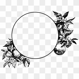 Leaf Drawing Circle For Free Download Png Leaf Circle - Circle Border Design Png, Transparent Png - black circle png