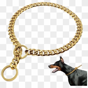 Gold Dog Chain Png - Choke Chain Style Collar, Transparent Png - gold chain png