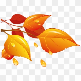 Transparent Autumn Leaves Png Clipart - سكرابز ورق شجر الخريف, Png Download - fall leaves png