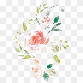 Watercolor Flower Png Picture - Pastel Watercolor Flowers Png, Transparent Png - watercolor flowers png