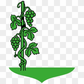 Draw A Grape Tree, HD Png Download - vines png