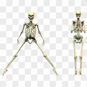 Spooky Skeleton Png Clipart - Spooky Skeleton Png, Transparent Png - skeleton png