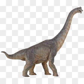 Dinosaur Png Image - Papo Brachiosaurus, Transparent Png - dinosaur png