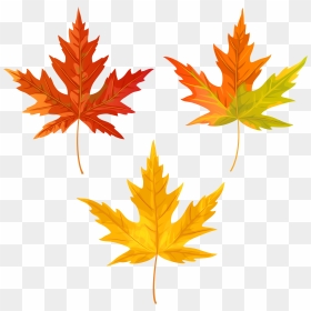 Fall Leaves Png Clip Art Image, Is Available For Free, Transparent Png - fall leaves png
