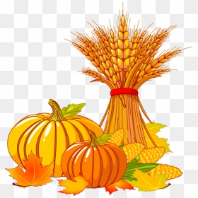 Thanksgiving Pumpkin Png Clipart - Fall Corn Stalk Clipart, Transparent Png - thanksgiving png