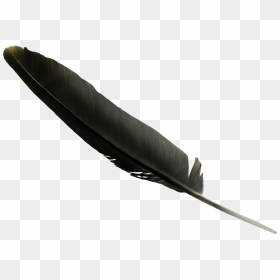 Feather Black Clip Art - Black Feather Png, Transparent Png - feather png