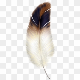 Bird Feather Clipart, HD Png Download - feather png