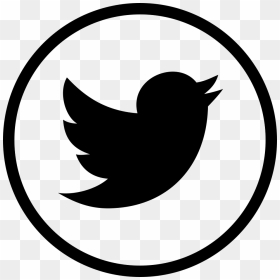 Twitter In Circle - Gray Twitter Logo Png, Transparent Png - black circle png