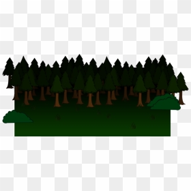 Download Forest Png Clipart - Transparent Forest Clipart Png, Png Download - forest png