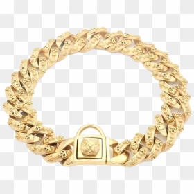 Gold Dog Chain - Dog Collar Stainless Steel, HD Png Download - gold chain png