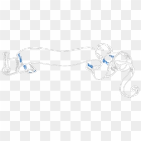 Transparent Blue Scroll Png Icons - Sketch, Png Download - scroll png