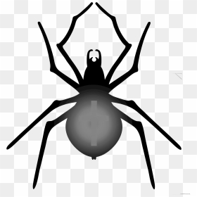 Halloween Halloween Spiders To Makehalloween Imageshalloween - Clip Art Spider Halloween, HD Png Download - spider png