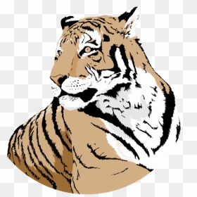 Siberian Tiger, HD Png Download - tiger png