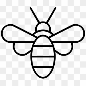 Bee - Bee Png Free, Transparent Png - bee png