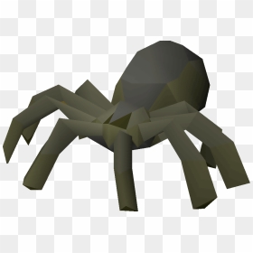 Old School Runescape Wiki - Runescape Spider, HD Png Download - spider png
