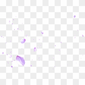 Thumb Image - Cherry Blossoms Falling Png, Transparent Png - cherry blossom png
