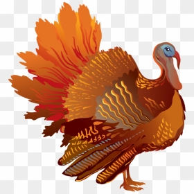 Thanksgiving Sideview Png Stickpng - Turkey Thanksgiving Transparent Background, Png Download - thanksgiving png