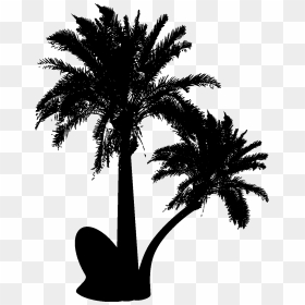 Vector Graphics Palm Trees Silhouette Clip Art Design - Desert Palm Tree Vector, HD Png Download - palm trees png