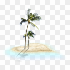 Coconut Trees - Portable Network Graphics, HD Png Download - palm trees png