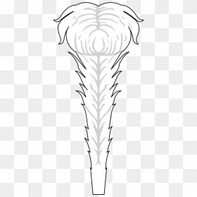 Illustration, HD Png Download - feather png