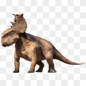 Dinosaur Png Image - Pachyrhinosaurus Dinosaurs, Transparent Png - dinosaur png