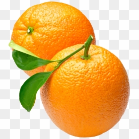 Orange Png Image Free Download - Orange Png, Transparent Png - orange png