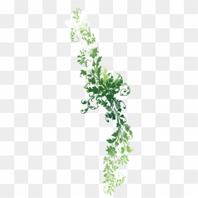 Thumb Image - Nature Png, Transparent Png - vine png
