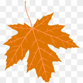 Maple Leaf, HD Png Download - thanksgiving png