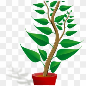 Clip Art Mehmetcetinsozler Com Popular Categories Love - Plant Clipart Png, Transparent Png - plants png