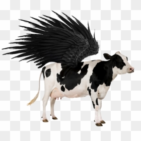 Cow Transparent, HD Png Download - cow png