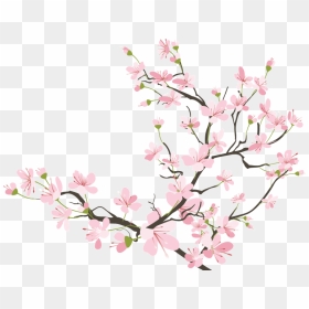 Japanese Clipart Japan Cherry Blossom - Transparent Cherry Blossom Png, Png Download - cherry blossom png