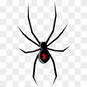 Black Widow,wing,widow Spider - Black Widow Spider Pdf, HD Png Download - spider png
