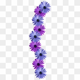 Thumb Image - Flowers Vine Png Transparent, Png Download - vine png