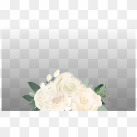 White Watercolor Flowers - White Floral Png Watercolour, Transparent Png - watercolor flowers png