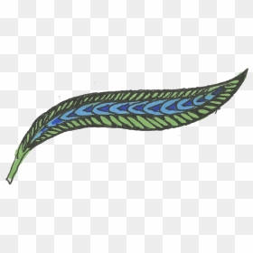 Green Feather, HD Png Download - feather png