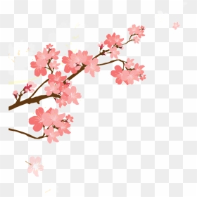 Korean Style Cherry Blossom Cartoon Transparent - Transparent Cherry Blossom Png, Png Download - cherry blossom png