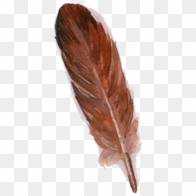 Feather Owl Brown Watercolor Painting - Transparent Png Brown Feather Png, Png Download - feather png