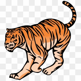 Hunting Tiger Clipart - Siberian Tiger, HD Png Download - tiger png