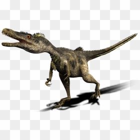 Dinosaur Png Background Image - Velociraptor Real Png, Transparent Png - dinosaur png