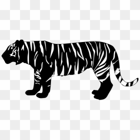 Tiger - Tiger Icon Png, Transparent Png - tiger png