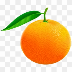 Orange Fruit Clipart - Orange Images Clip Art, HD Png Download - orange png