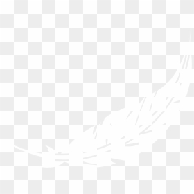 Marta Farmer Feather - Illustration, HD Png Download - feather png
