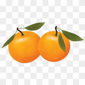 Orange Png Image, Free Download - Orange Clipart Png, Transparent Png - orange png