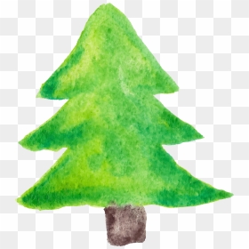 Watercolor Pine Tree Png - Christmas Tree, Transparent Png - pine tree png