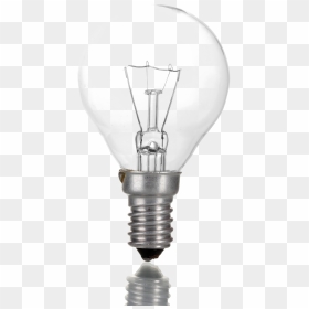 Electric Bulb Png Photo - Incandescent Light Bulb, Transparent Png - electricity png