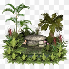 Plants And Rocks - Palm Tree Pot Png, Transparent Png - plants png
