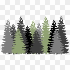 Thumb Image - Transparent Background Pine Tree Clipart, HD Png Download - forest png