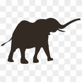 Hd Elephant Png - Indian Elephant, Transparent Png - elephant png