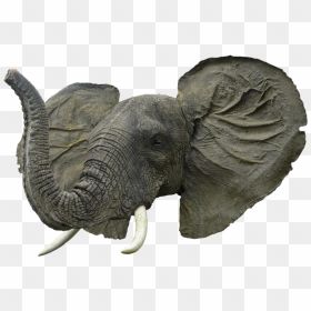 Transparent Background Elephant Head Png, Png Download - elephant png