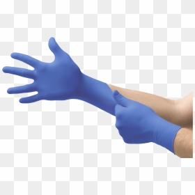 Medical Gloves Png, Transparent Png - joint png